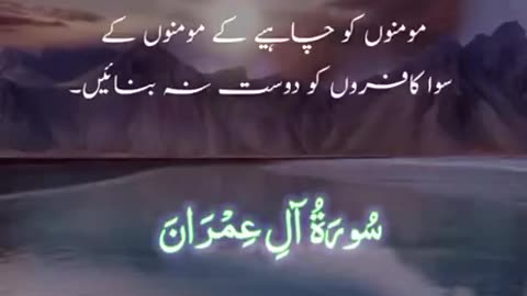 Beshak 💯♥️✨🕊️