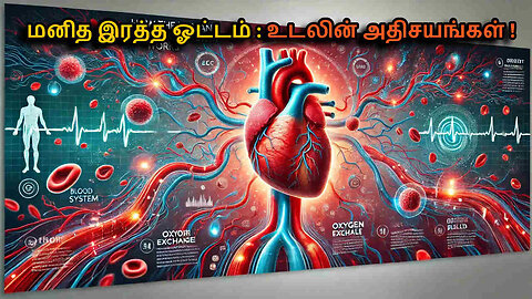 How the Human Circulatory System Works in Tamil | Heart, Blood, and Beyond