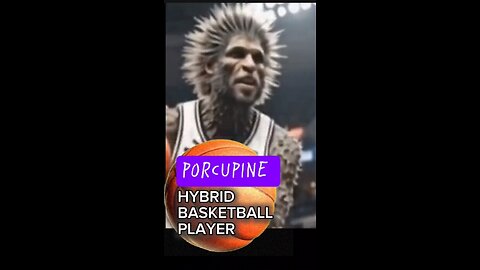 PORCUPINE Hybrid Basketball Player