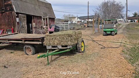 Graham Family Farm: 12:20 PM March 9 2025