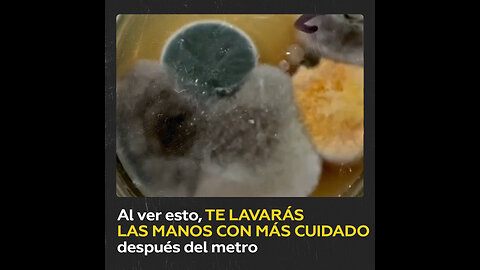 Bióloga muestra cuales microbios te ‘cazan’ en el metro de la Ciudad de México