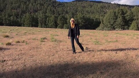 Behind the Scenes: Locating the UFO Landing Area from the MUFON Pine Mountain Club Alien Abduction