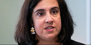 Rep. Malliotakis to Newsmax Congressional Age Limit Needed After Scandal