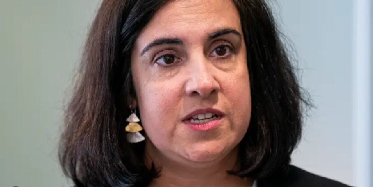 Rep. Malliotakis to Newsmax Congressional Age Limit Needed After Scandal