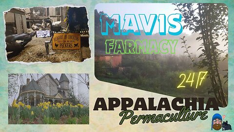 Winter Storm Approaches : Life on Doc's Farm 24/7 : Mavis Institute 🎵 🐓🦆🐝🐇🐖: