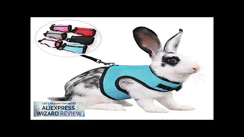 Low Price Rabbit Cat Harness and Leash Set Adjustable Nylon Harnesses Review