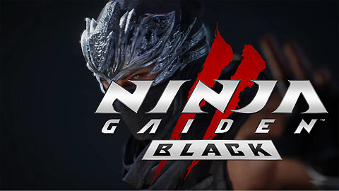 NINJA GAIDEN BLACK