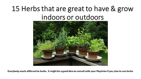 15 HERBS THAT ARE GREAT TO HAVE & GROW INDOORS OR OUTDOORS