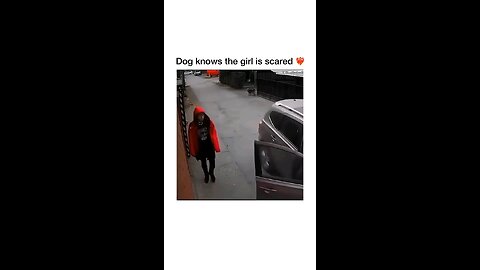 The stray dog saved the girl ❤❤🥰