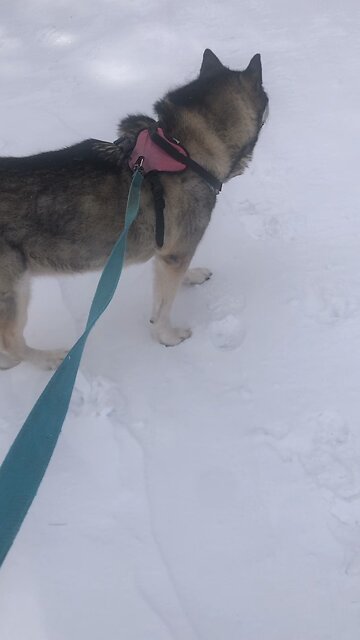 Friday February 7, It is finished