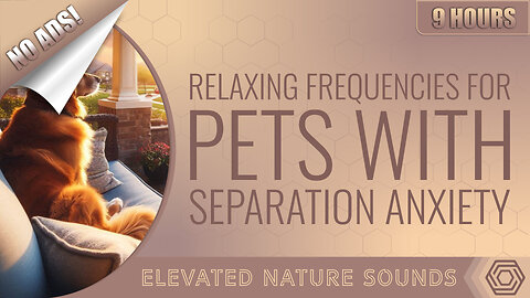 9 Hours of Relaxing Frequencies for Pets with Separation Anxiety NO ADS