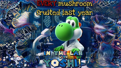 In the Lab with Yoshi! Special Edition - Every mushroom fruited in 2024