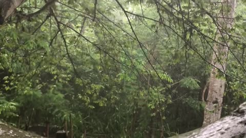 rain time video 4