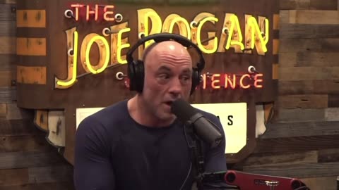 Joe Rogan and Ian Carroll discuss Pizzagate