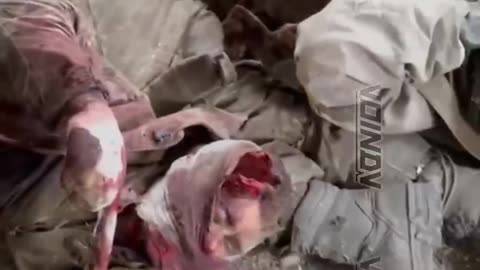 ベリカヤ・ノボショルカのウクライナ軍第110独立機械化旅団