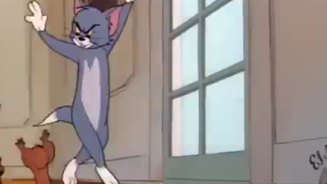 톰과 제리 (Tom and Jerry)