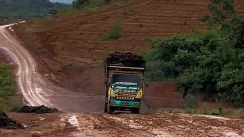 The truck driver panicked on the steep road