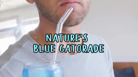 Nature’s Blue Gatorade Recipe