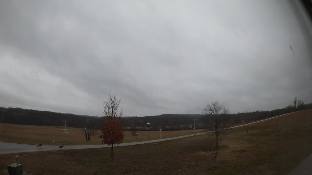 Sun ☔ Rise 1 30 25 50f/10c