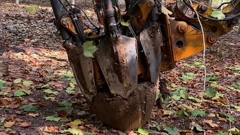 Tree cutter machine