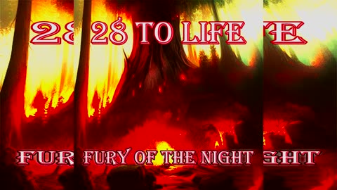 28 To Life Fury Of The Night