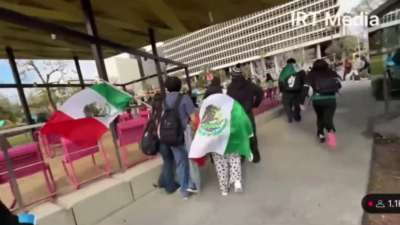 Los Angeles The feral invaders are now stabbing people who happen to walk by the protests