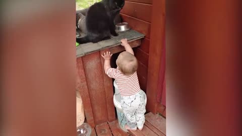 🤣Funny Baby Animal Video Kids Video Animals Video