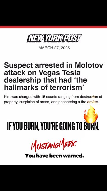BREAKING NEWS🚨 Burn a Tesla do jail time. It’s that simple.