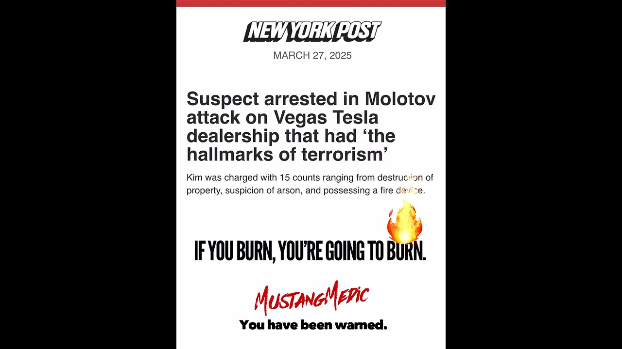 BREAKING NEWS🚨 Burn a Tesla do jail time. It’s that simple.