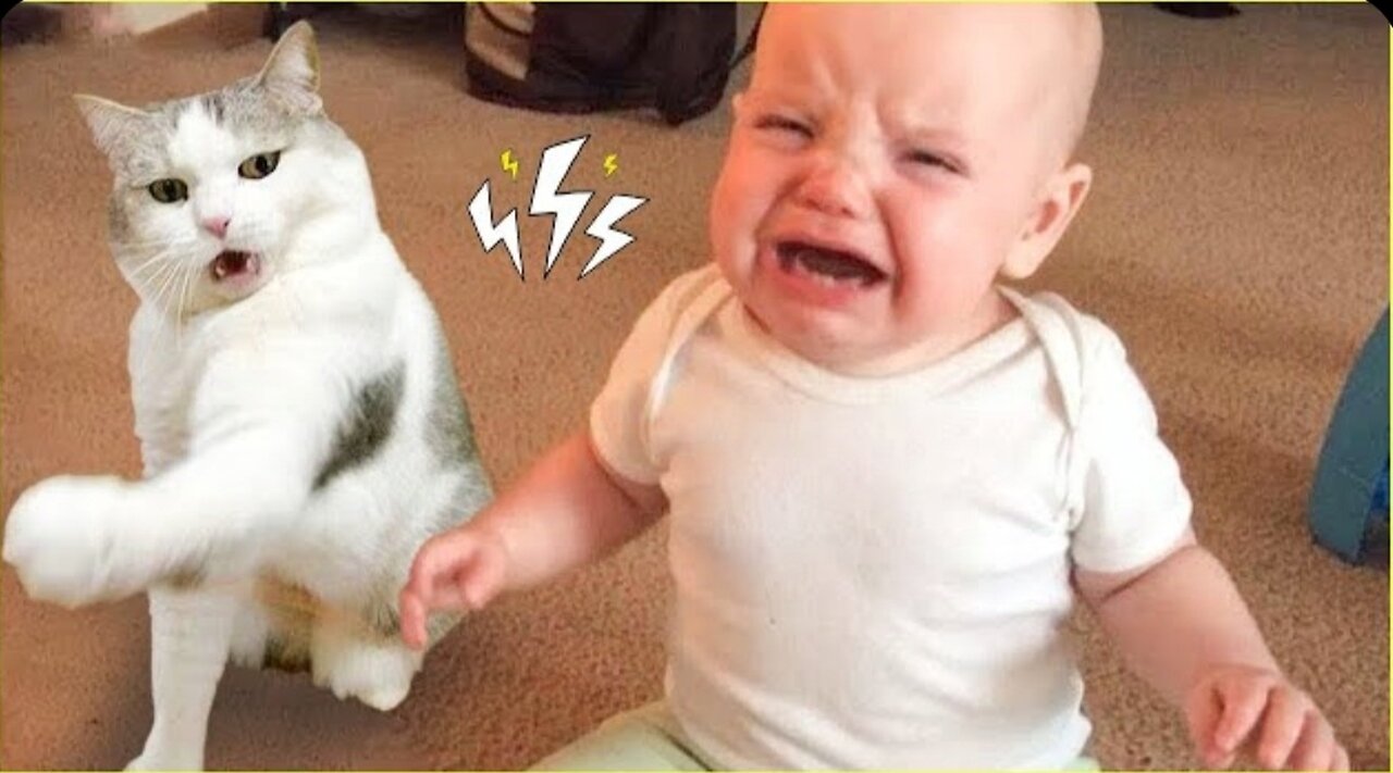 Funniest Baby and Cat are best friend || #19