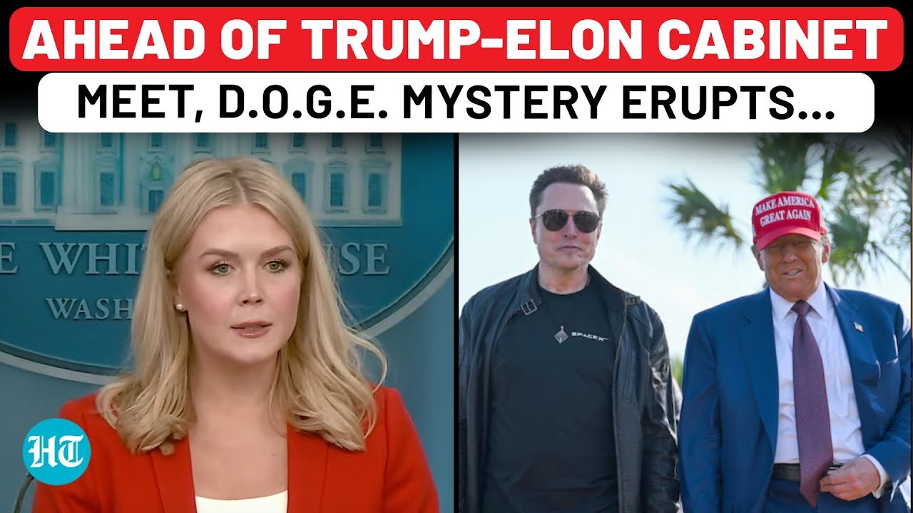 Karoline Leavitt Asked About Big DOGE Mystery, Ahead Of Trump-Elon Musk Cabinet Meet| US White House