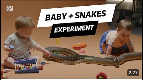 The Surprising Reason Babies Are NOT Afraid of Snakes | Secret Science