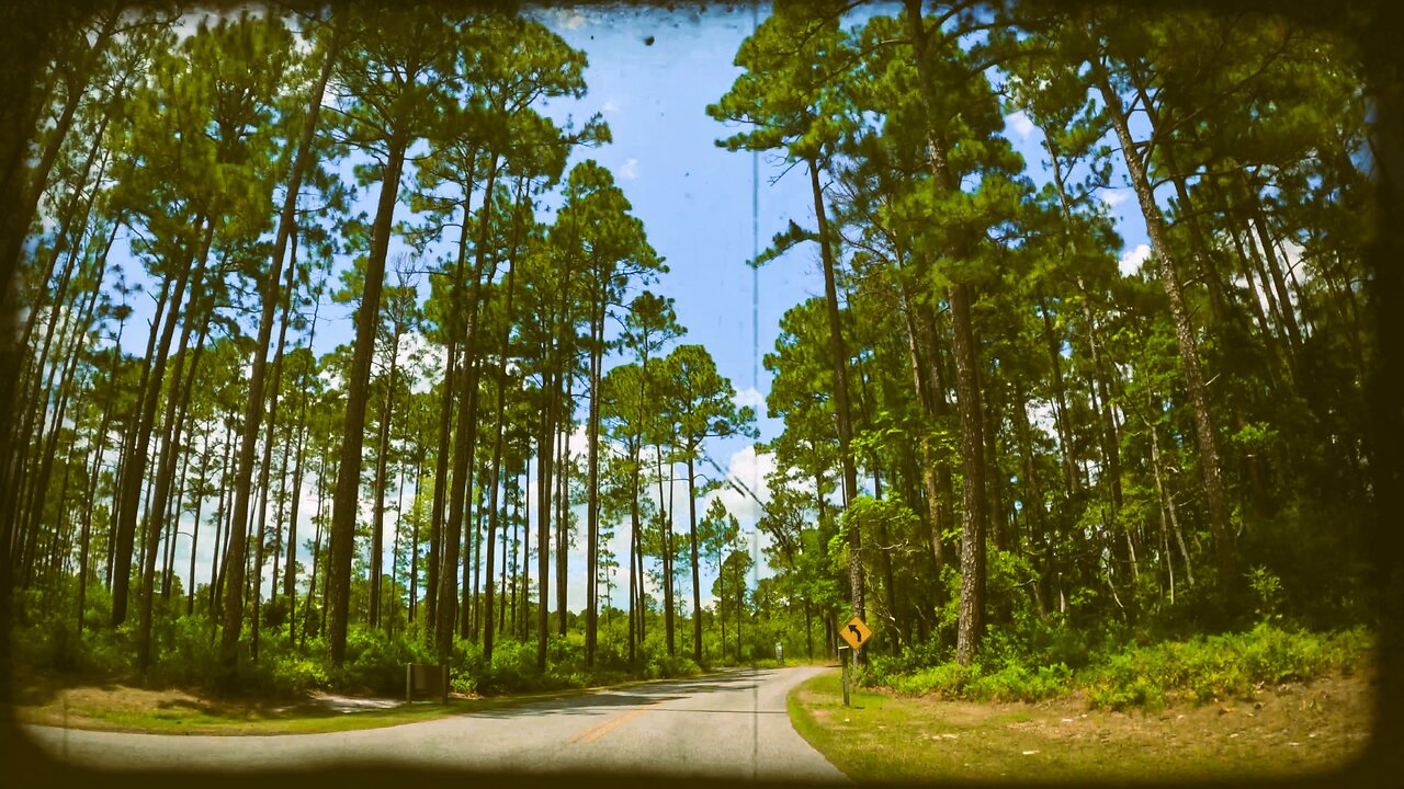 Time-Lapse ~ Driving From Lake Waccamaw State Park to Lake Waccamaw Dam (North Carolina)