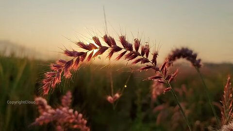 natural love. part 2