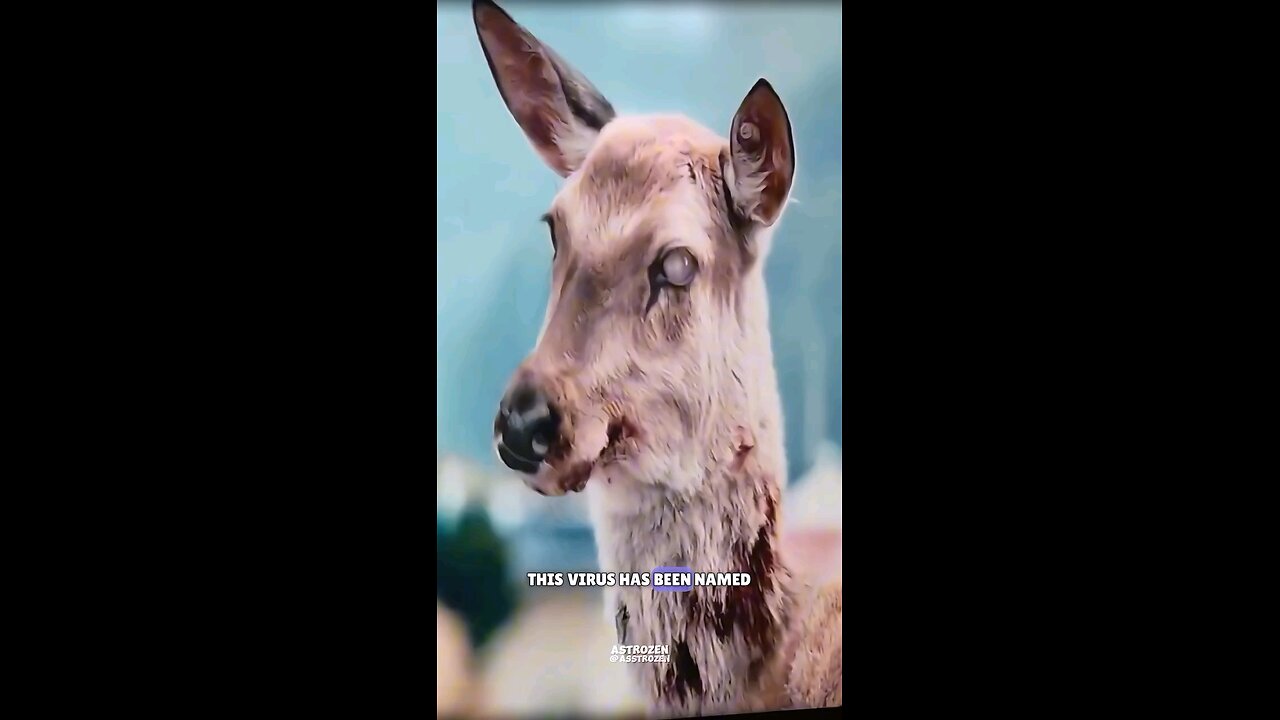 Zombie deer disease #science #sciencefacts #astronomy #space #facts #fact #reelitfeelit #viral