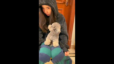 Cute Puppy 💕Cute Dog cute reaction💕😂 #4k#cute#shorts