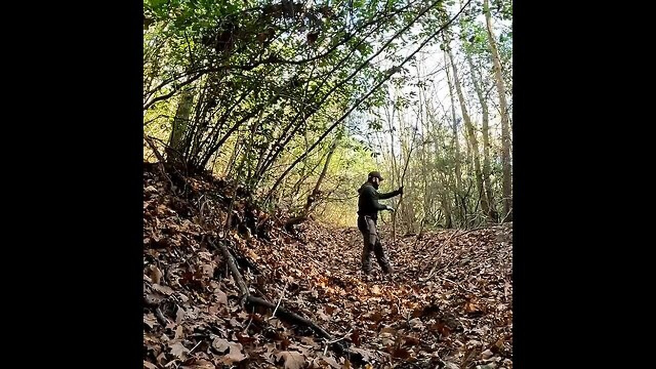 Build bushcraft survival shelter in the forest