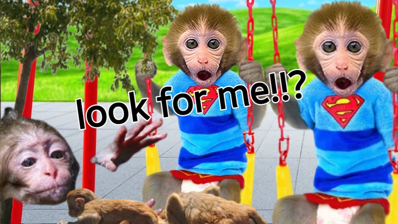 animalht plays swing in the park||Monkey Kiki with duckling and cooking rainbow jelly with puppies!!