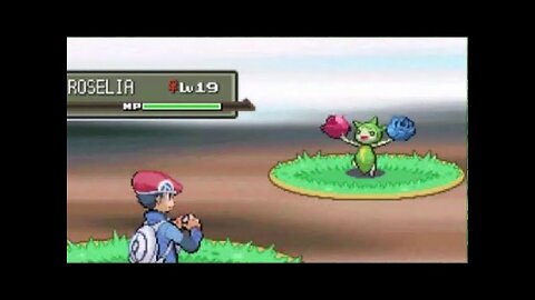 Specializing in Grass type Pokémon, Platinum Paythrough 1.13