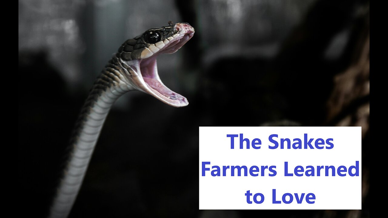 The Snakes Farmers Learned to Love