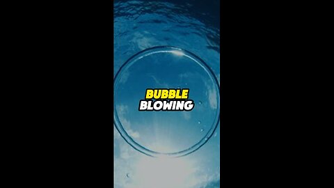 Bubble Blowing