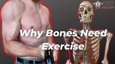 How Your Bones Change With Exercise