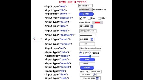 Program