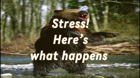 Here’s what happens to your body when you are under stress!