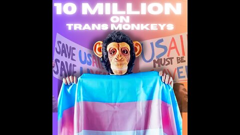 10 million dollars on Trans Monkeys