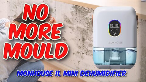 MONHOUSE 1L Mini Dehumidifier