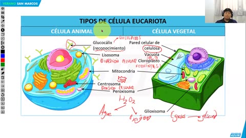 VERANO ADUNI 2024 | Semana 03 | Economía | Álgebra | Biología S1