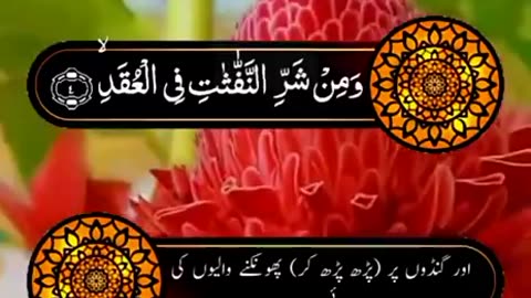 Jazakallah ♥️✨