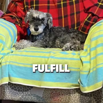 You’ve got a mission