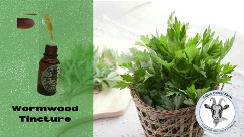 Wormwood Tincture